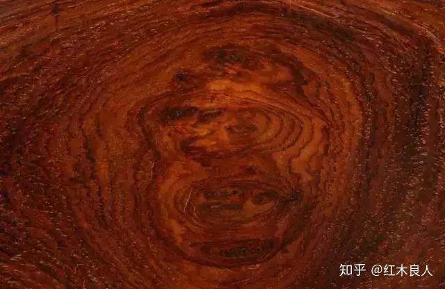 大红酸枝、黑酸枝、白酸枝……14种酸枝木的特征与鉴别 - 知乎