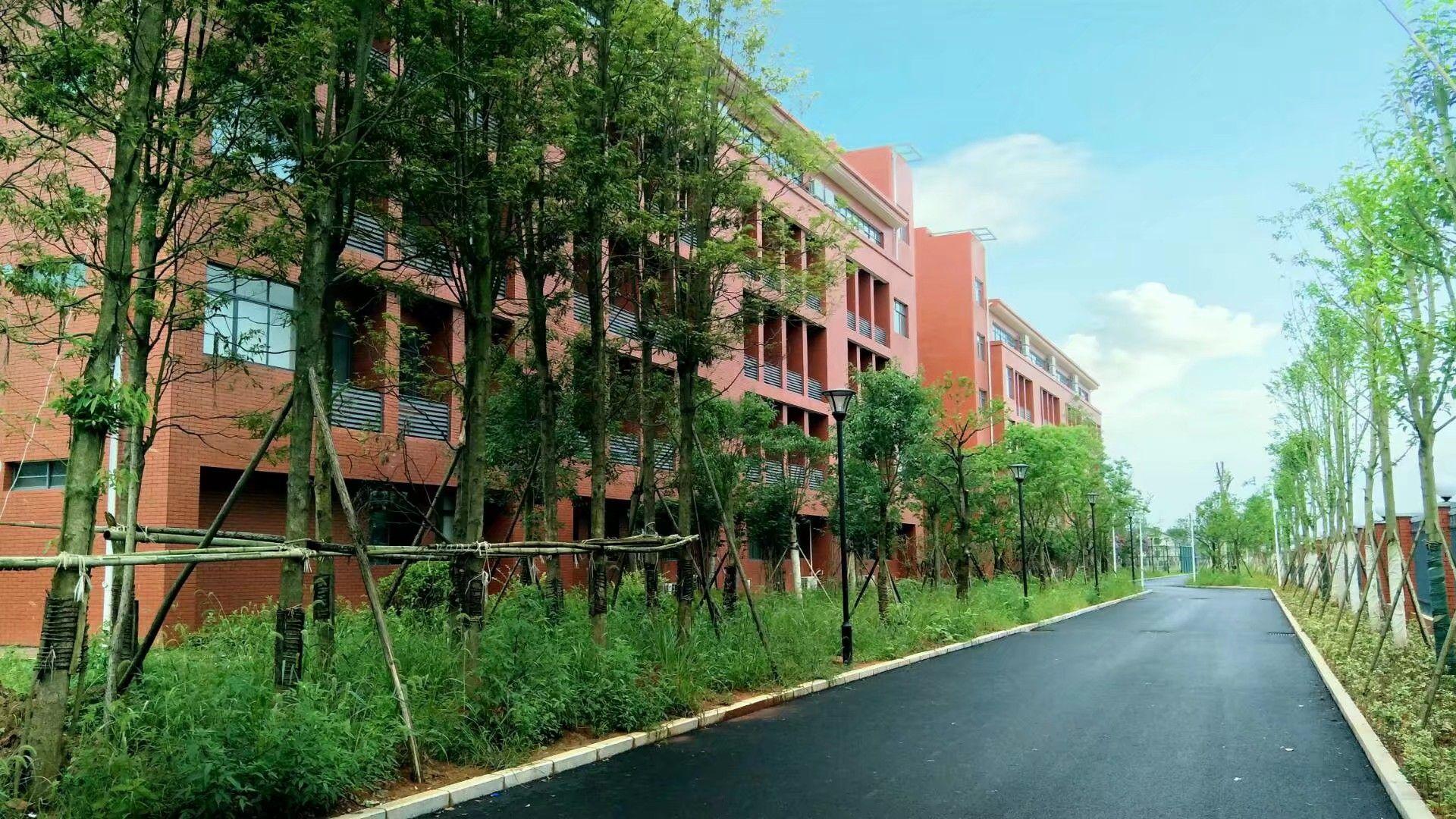 在衡阳市 铁一中就读 是怎样一直体验? - 知乎