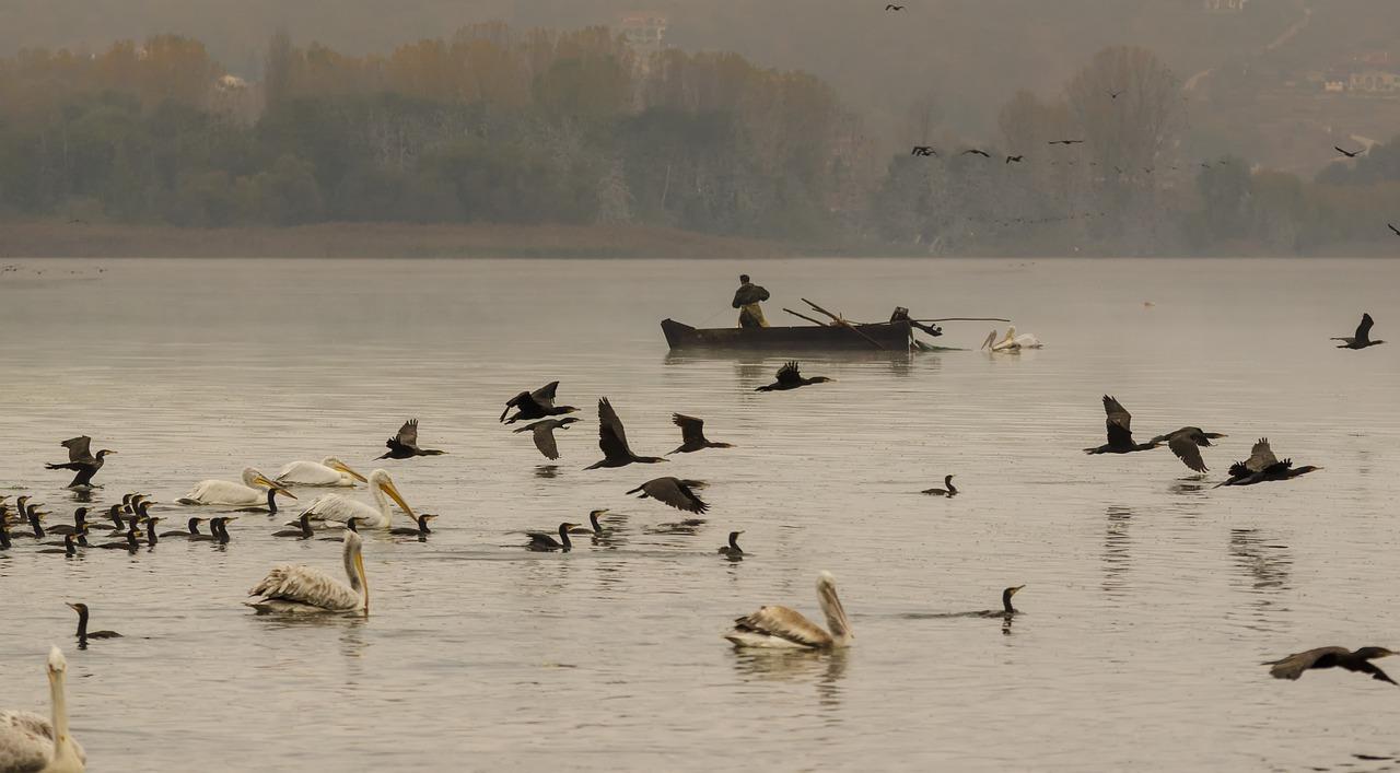 清远天湖郦都价格一览