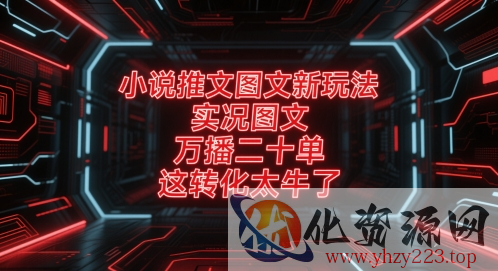 小说推文图文新玩法，实况图文，万播二十单，这转化太牛了！