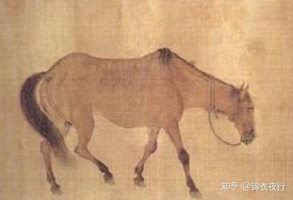 这才是真国学!这些古代指代名马的生僻字,你能认识几个? - 知乎