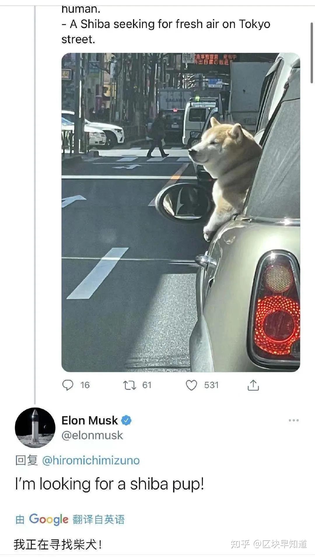 涨疯了！！！1000元秒变2亿？！屎币（shib）的前世今生- 知乎