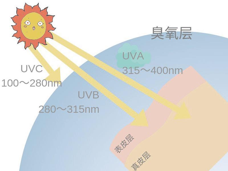 UVA/UVB/UVC不同波段紫外线灯应用 - 知乎