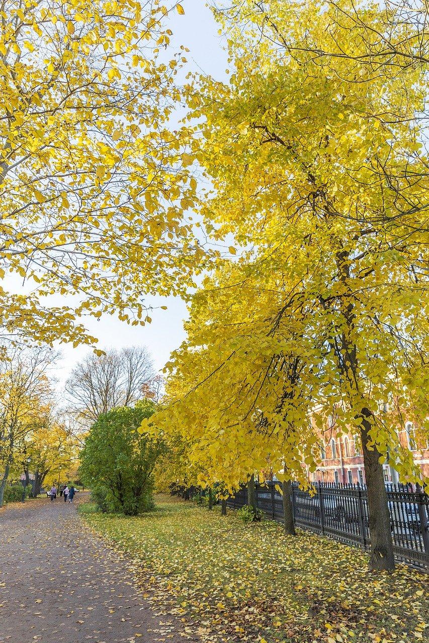 2. 品质住宅社区