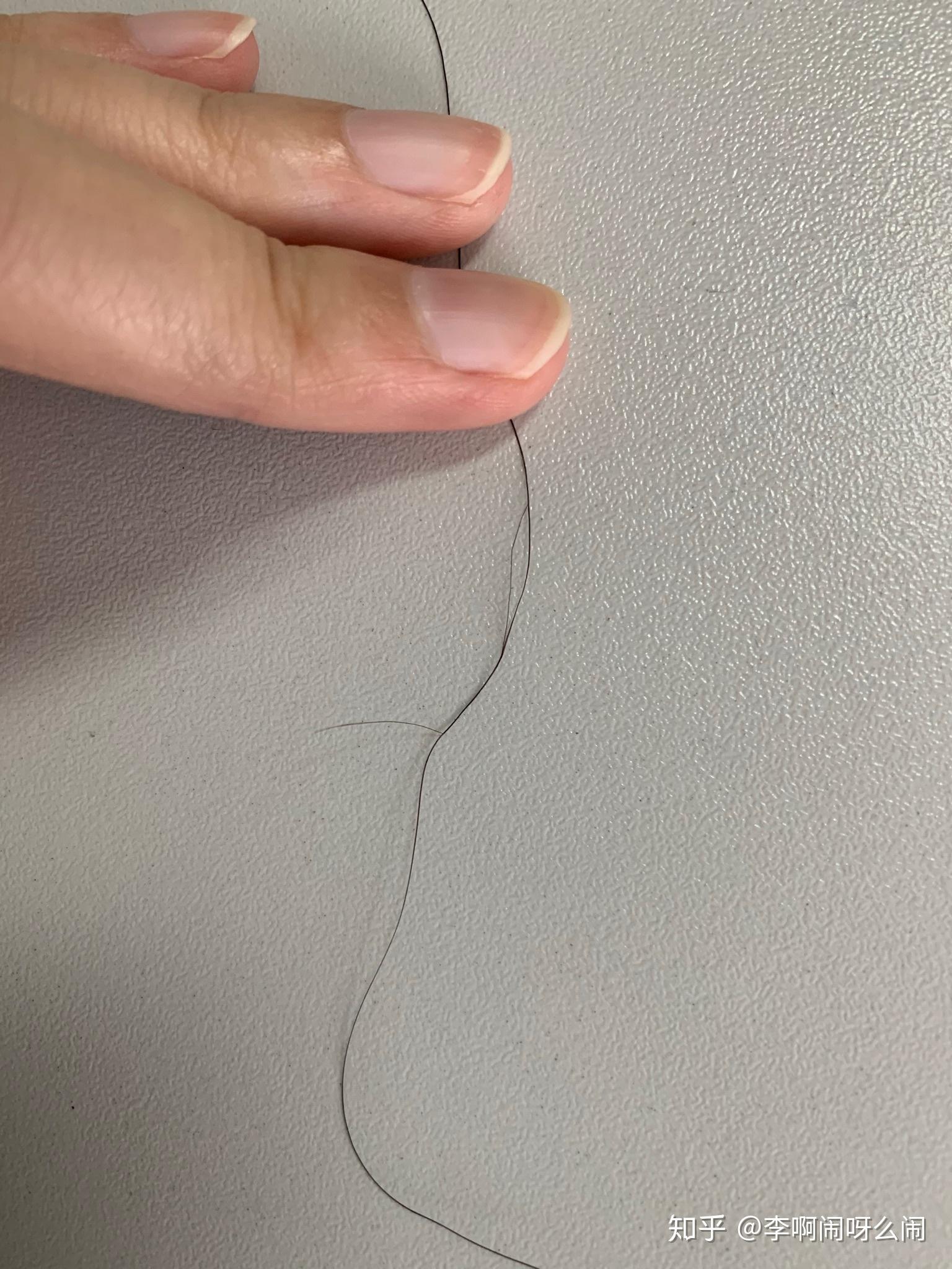 一根头发可以分叉成什么样