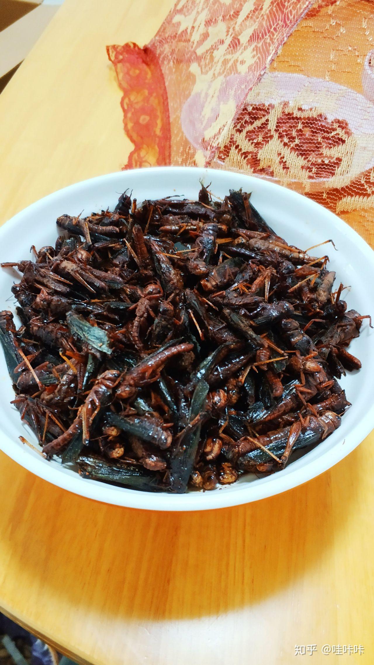 有人吃油炸蚂蚱的吗感觉是不是很不错