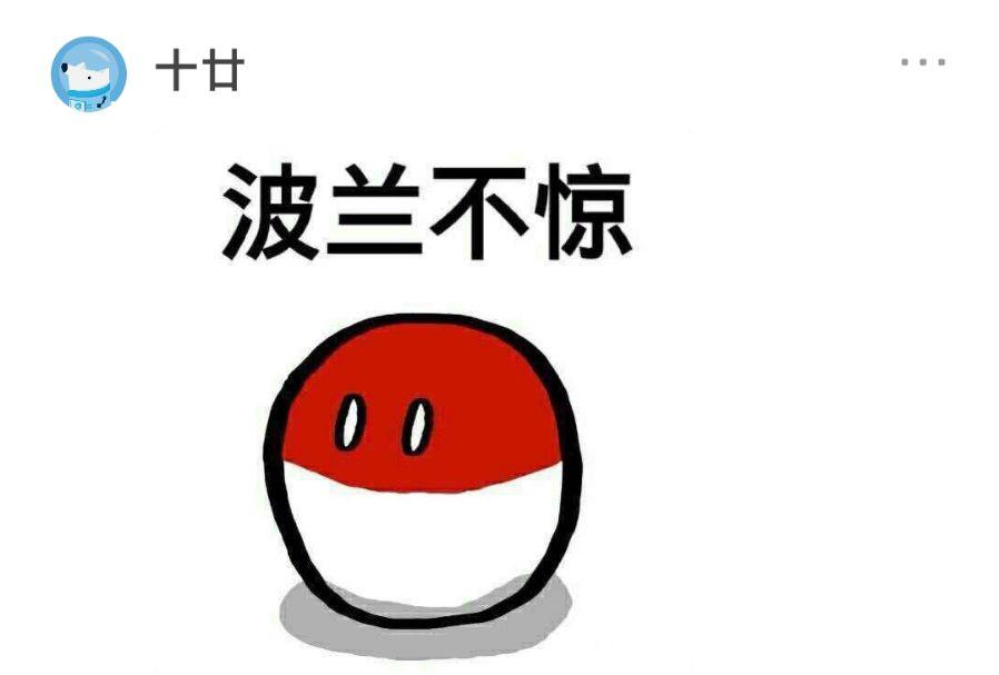 评论区投稿:…………………………毫无波兰知乎用户