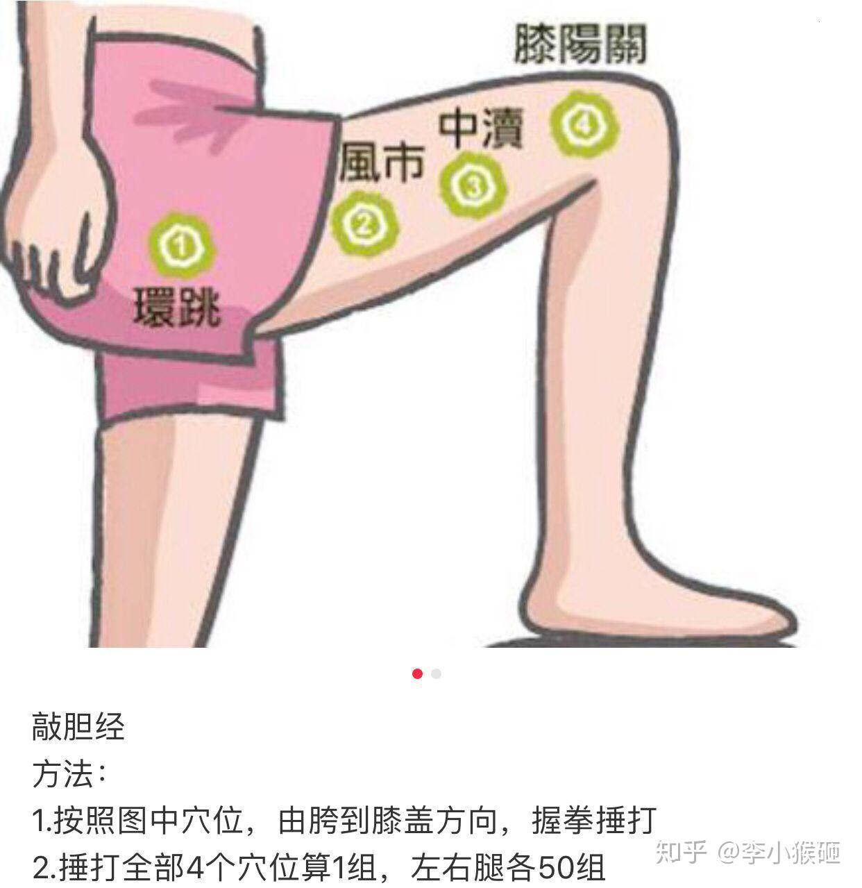臀上皮神經:臀上皮神經表面解剖及其功能,與臀上皮神經相關的疾病,_中文百科全書