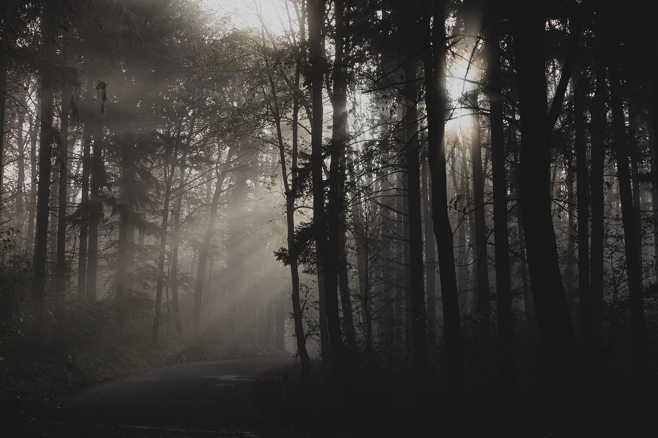 4. 交通便捷地段