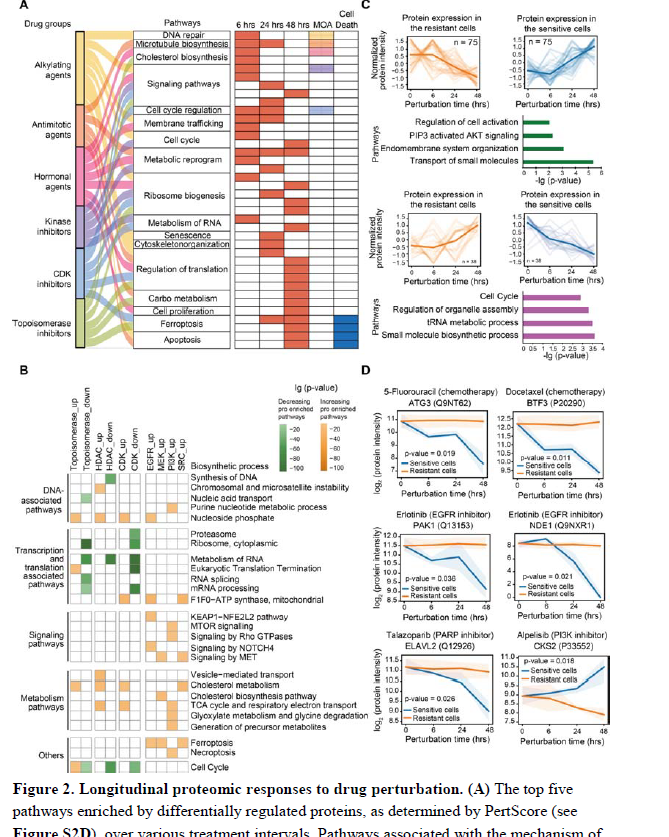 国产AIVC初步 bioRxiv 2025 A perturbation proteomics-based foundation model ...