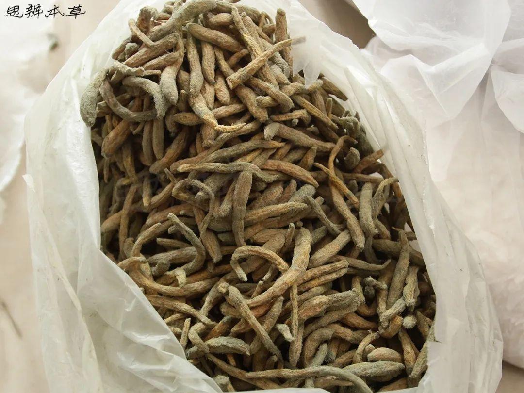 中药霉变的产生与鉴别 - 知乎