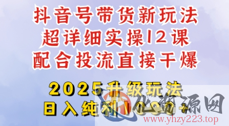 2025全新升级抖音带货玩法，一天纯利四位数，从剪辑到选品再到发布投流，超详细玩法揭秘