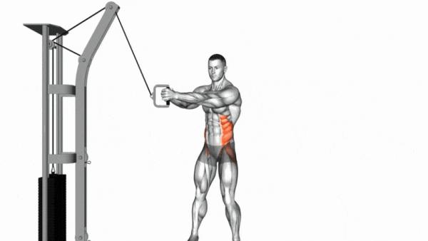 7个最佳旋转爆发力的核心肌群训练动作