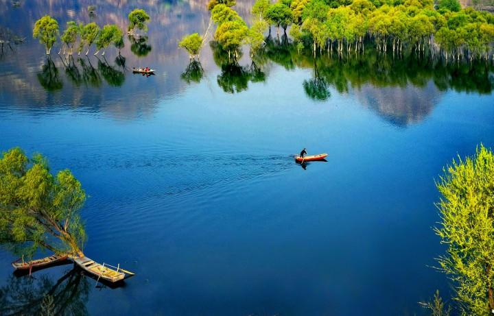 临河区全力筑牢河畅水清岸绿的生态屏障 - 知乎