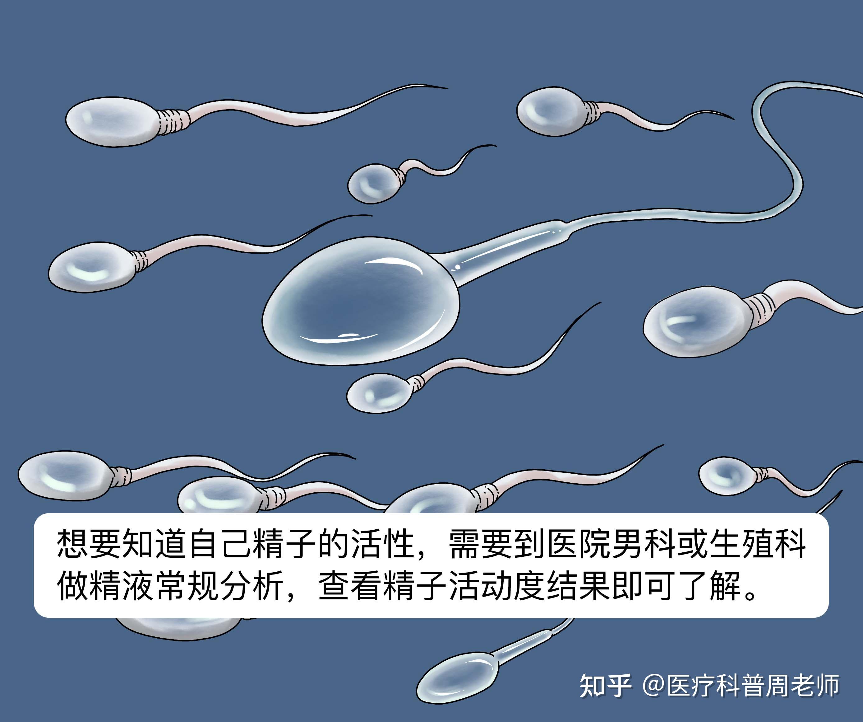 排卵期会出现哪些症状呢?