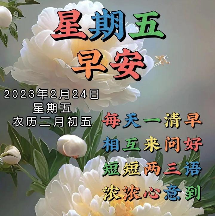 2月24日周五早上好今天幸福安康一整天星期五精选祝福图片 - 知乎