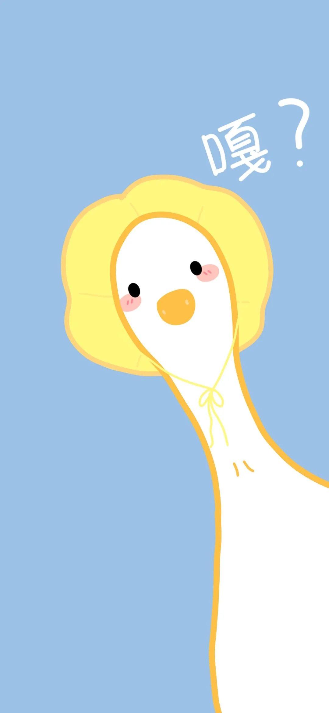 有没有各种鸭鸭鹅鹅的壁纸? - 知乎