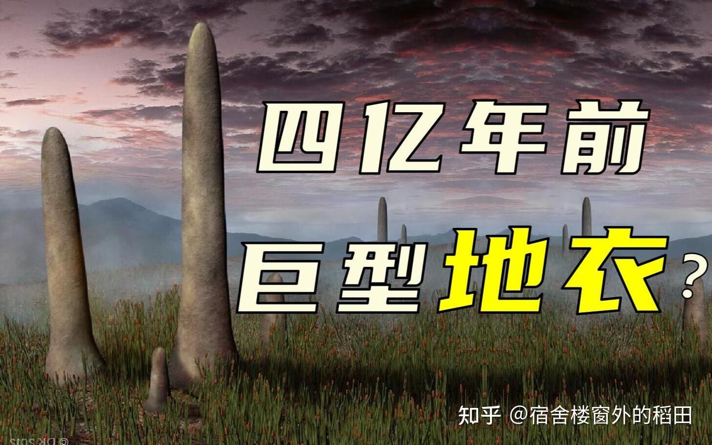 脊椎动物的演化史（2） - 知乎