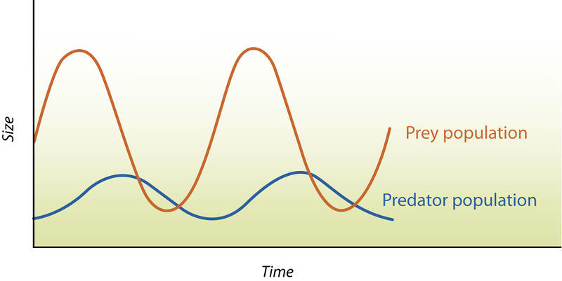 What Does Competition Mean In Biology