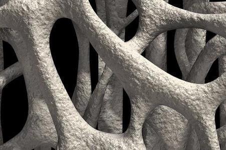 v2-efe20d97e6de00426a76a7ea4c3bad47_1440w.jpg?source=172ae18b