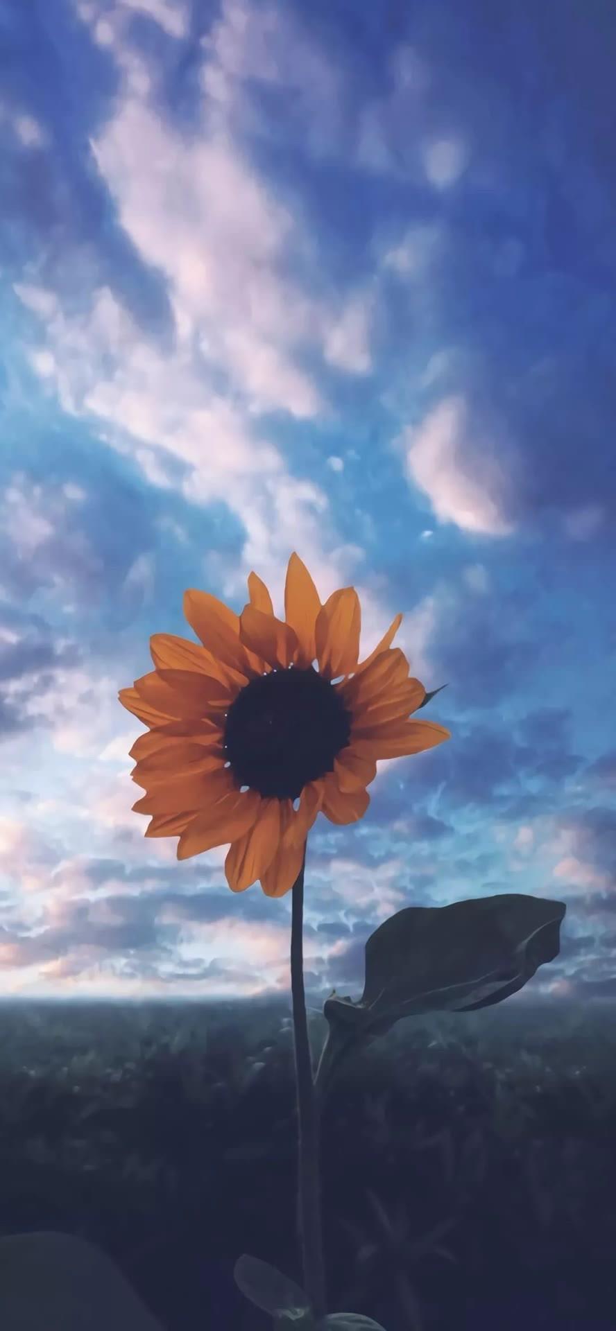 有没有比较特别的微信背景图推荐一下