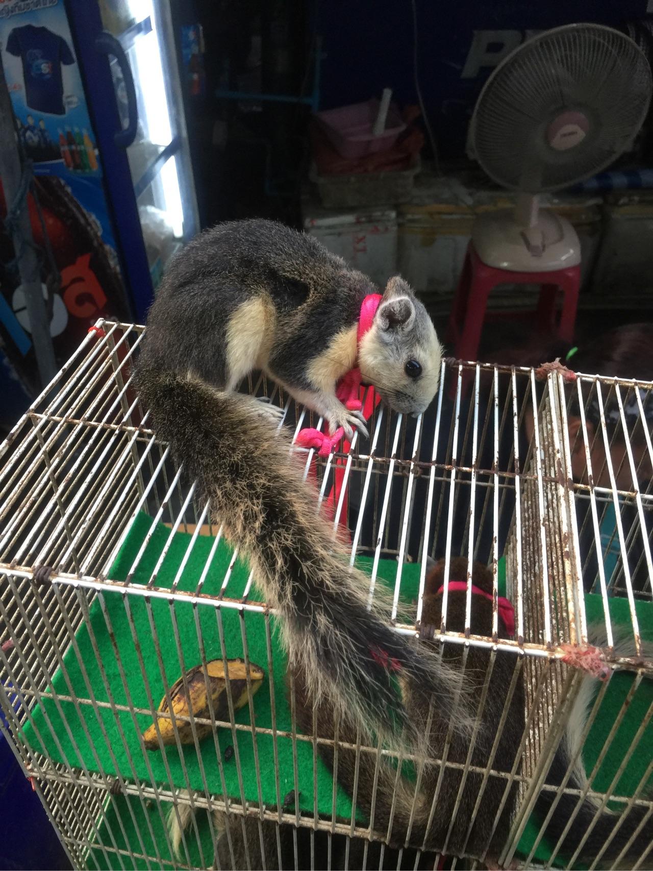 泰国哪些地方值得去?