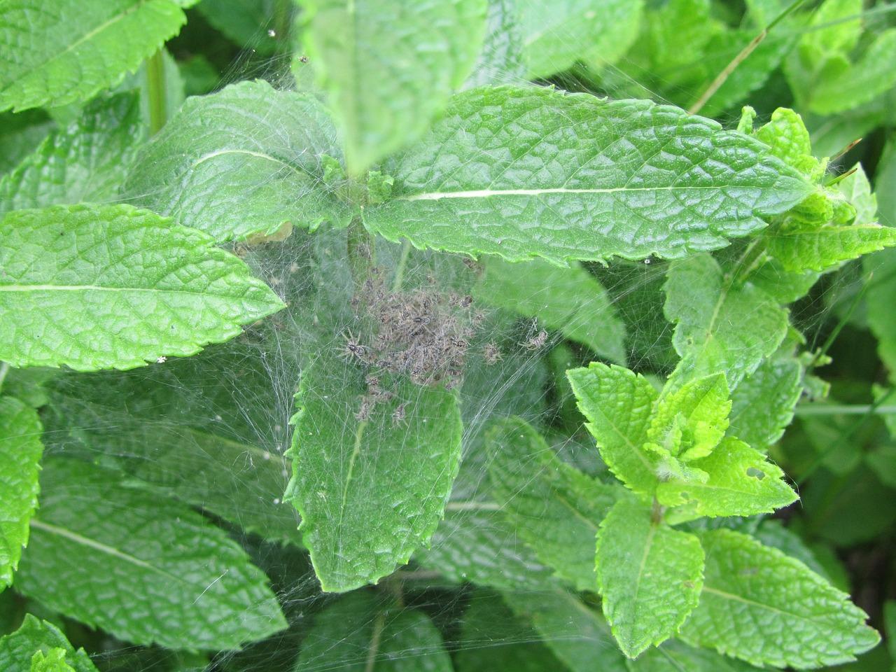 5. 老房翻新技巧