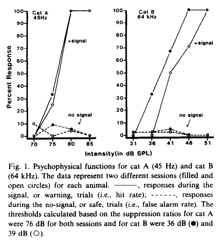 同样是猫科,为什么猫的耳朵是尖的,老虎的耳朵却是圆的?