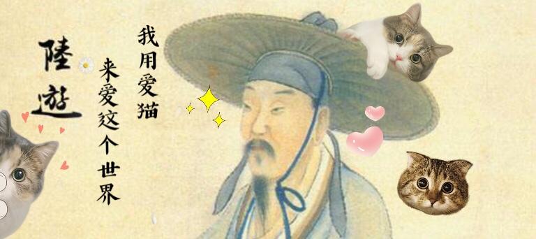 陆游 我用爱猫 来爱这个世界 知乎