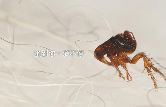 v2-f04a98acb8dc5ff2dc0eed3535f92082_1440w.jpg?source=172ae18b