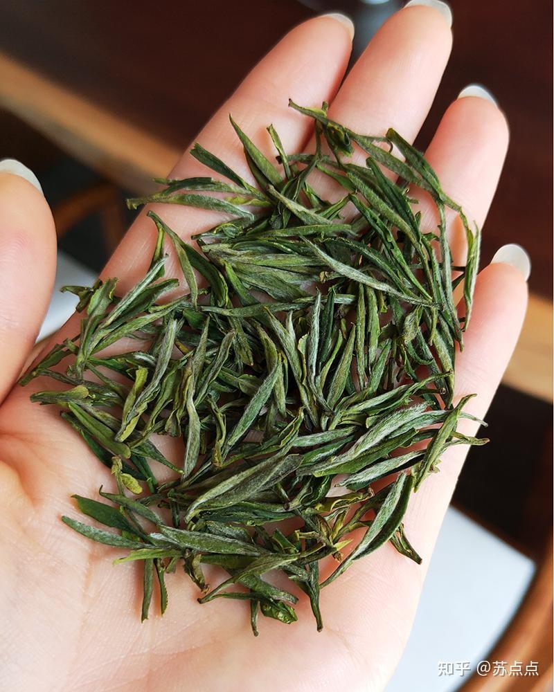 霍山黄芽和六安瓜片的茶树有什么样的区别? - 知乎