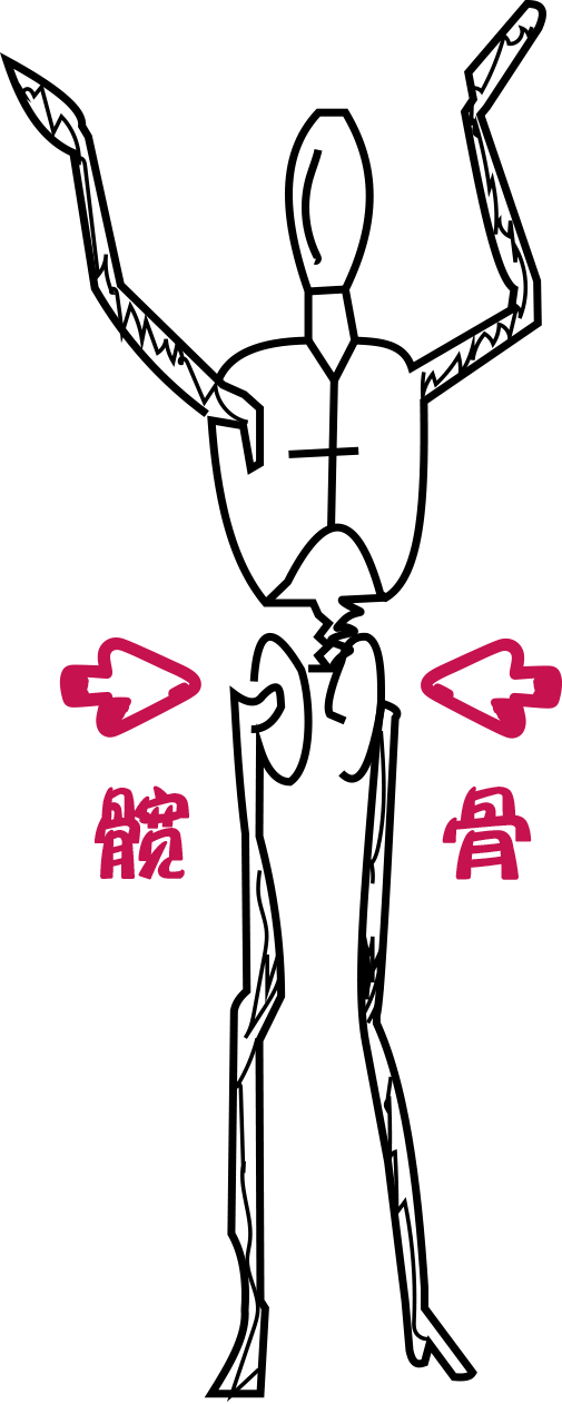 髋骨具体指哪儿