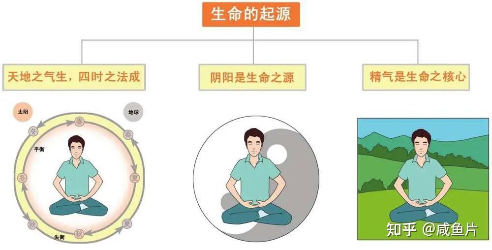 什么是血?中医里面的”血“究竟是什么?血的概念及作用