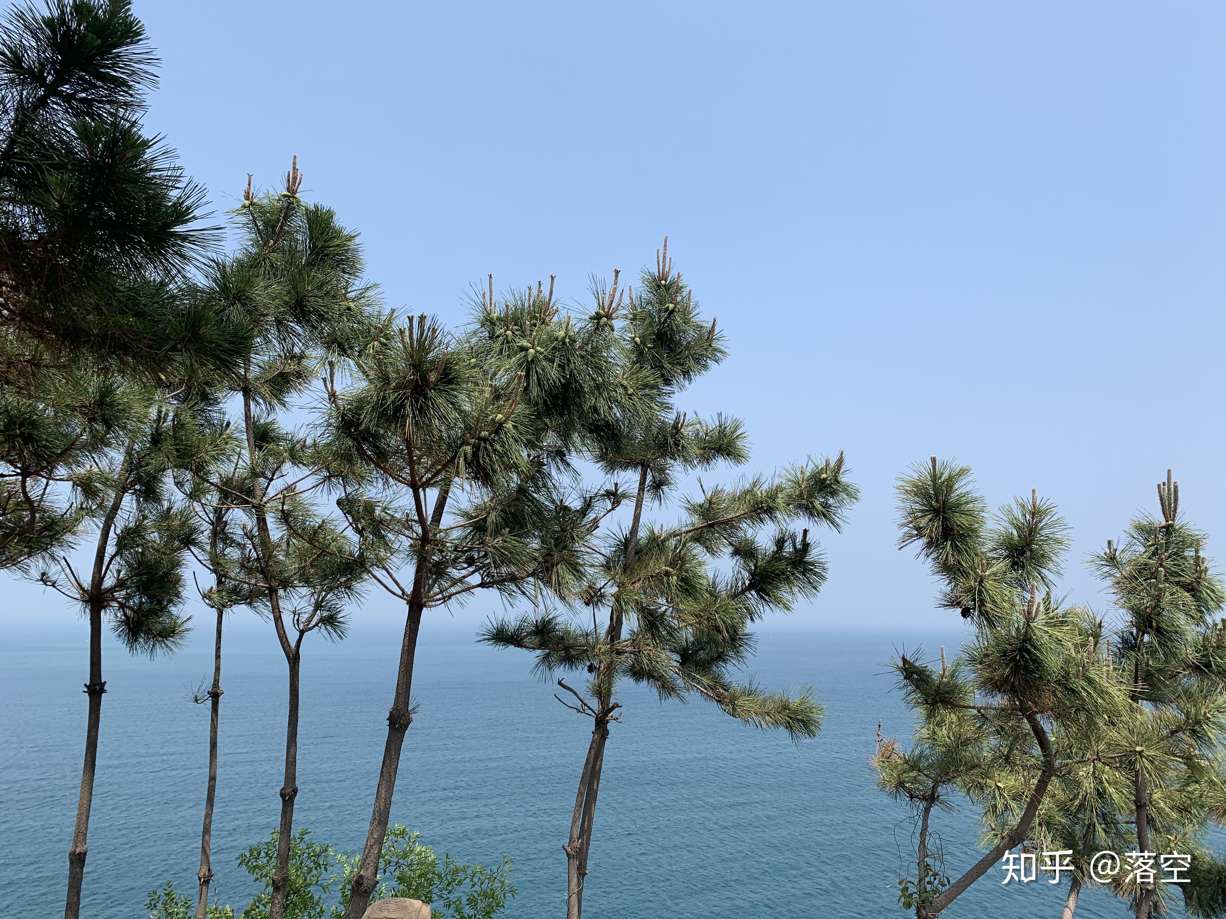 如何评价威海这个城市?