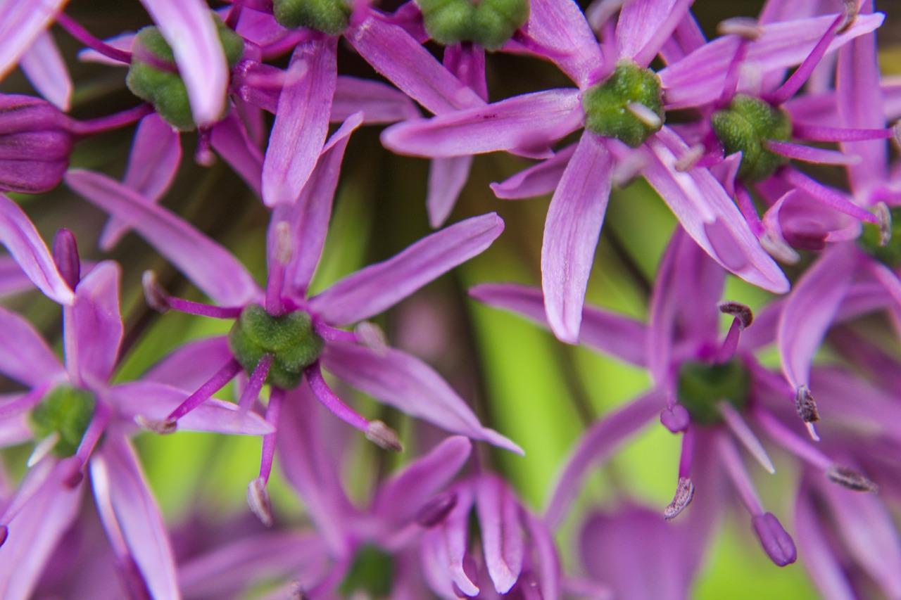 3. 蓝态户型亮点