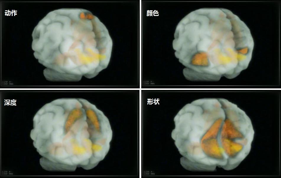 人的自我意识是怎样产生的？ 意识到底是什么呢？ - 知乎