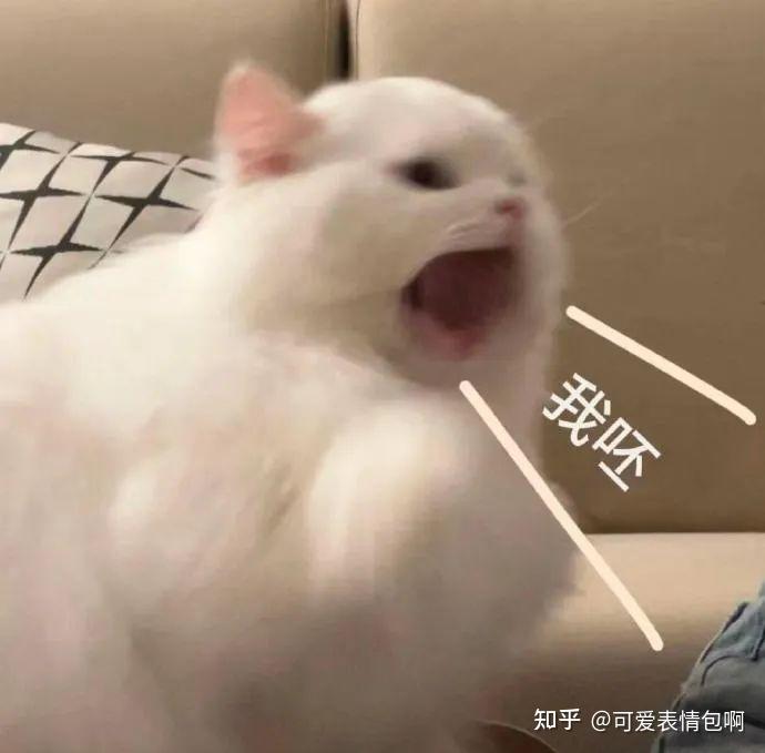 表情包:俺不中嘞 - 知乎