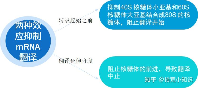 什么是microRNA？它的发现和研究进展对生物医学界有何重大意义？来一起看一看吧！ - 知乎