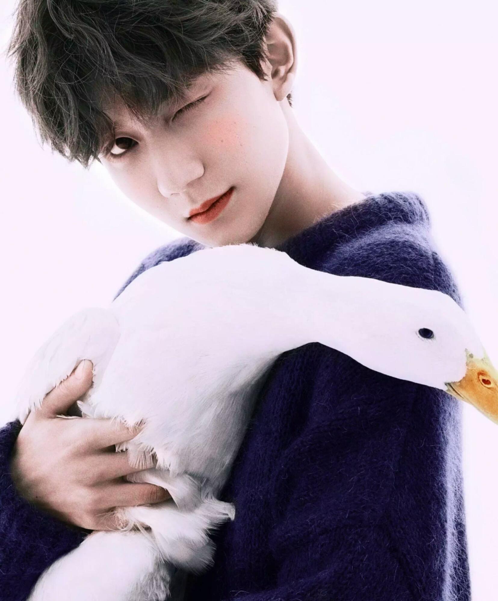 有没有特好看的王源的神图,在线求? - 知乎