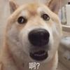 风轩云冕