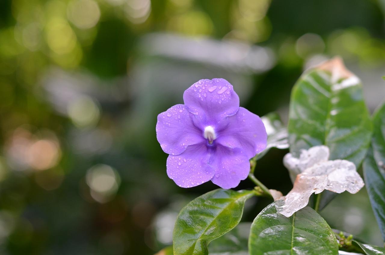 什么配色显得高雅