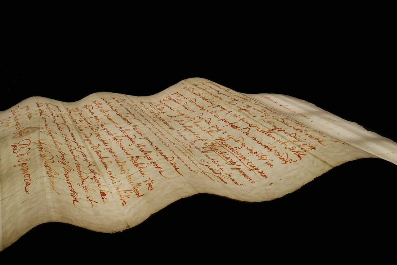 3. 申请理由阐述