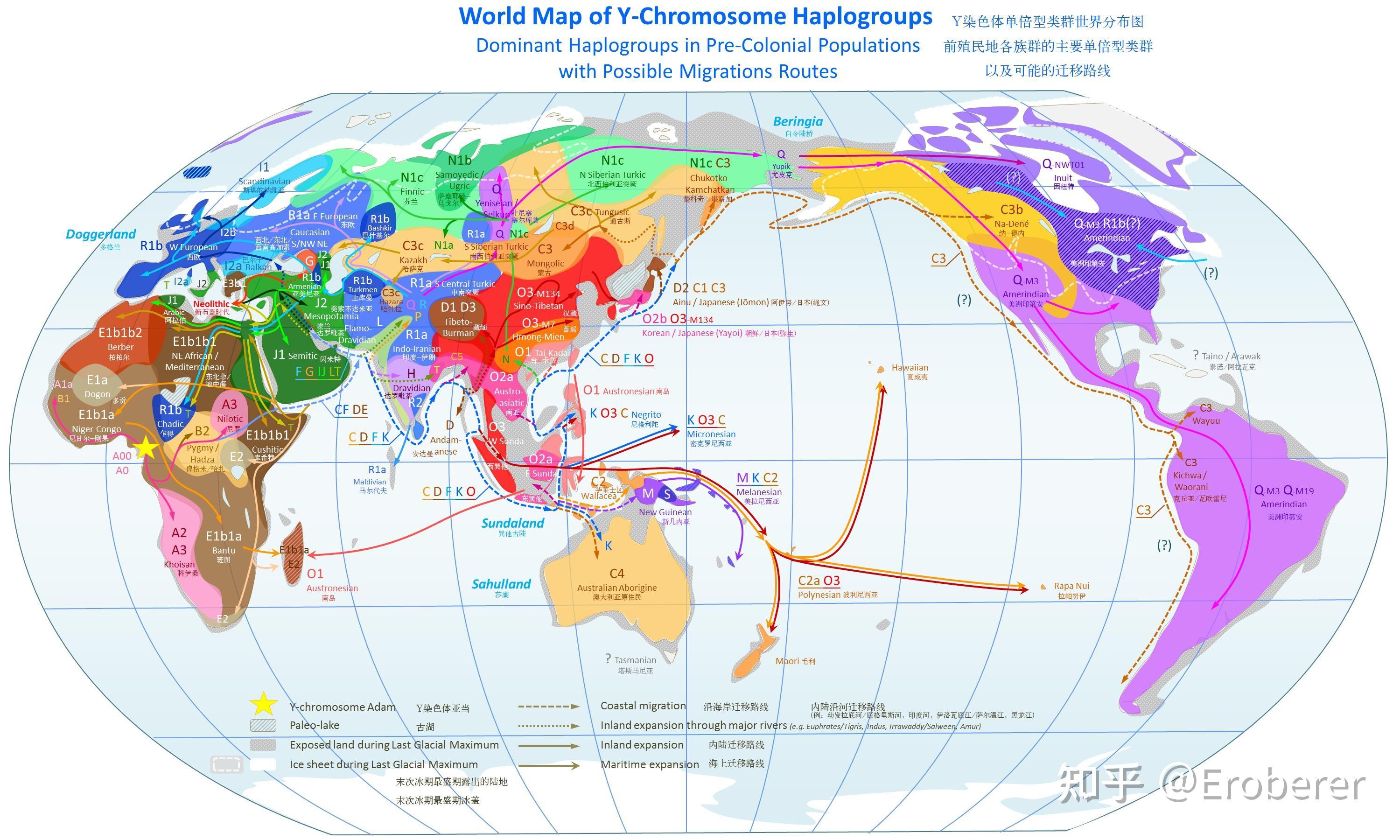 非洲大迁徙地图图片