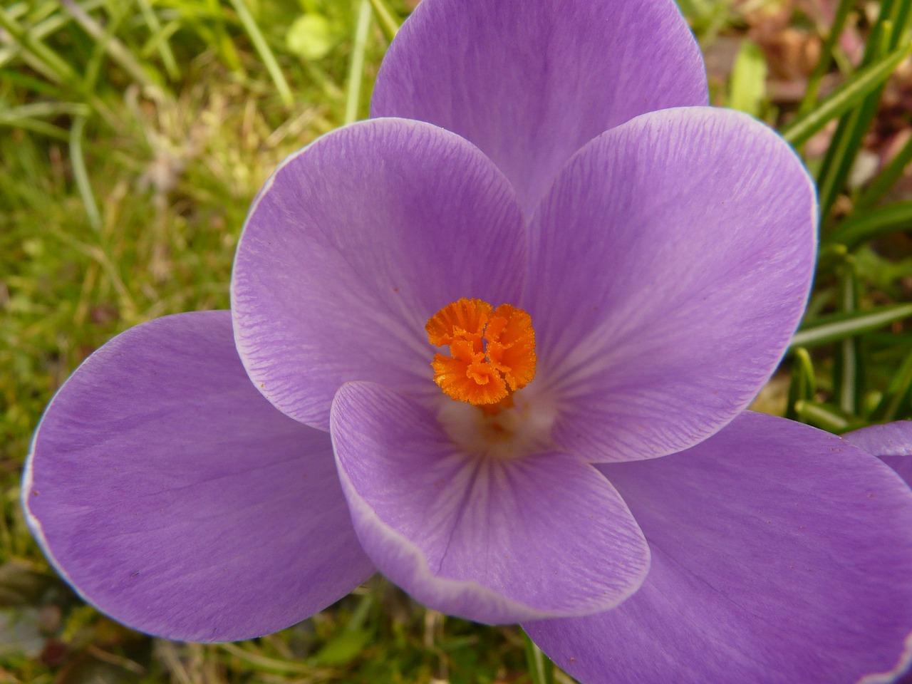 3. 红花梨家具工艺