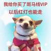 路小飞