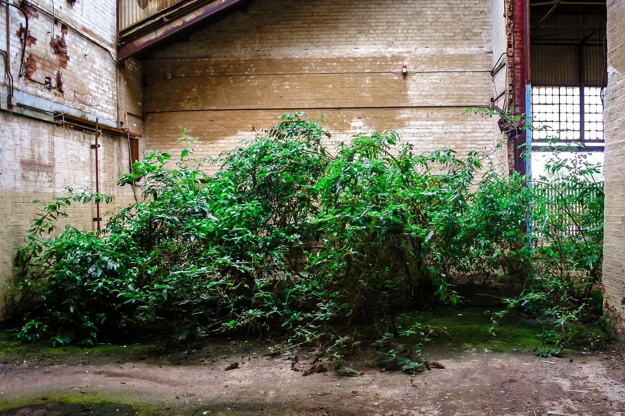 4. 投资潜力分析