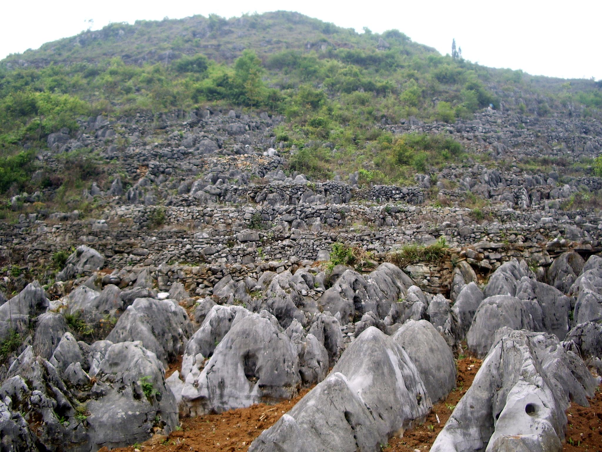 喀斯特地貌地区为什么土层薄? - 知乎