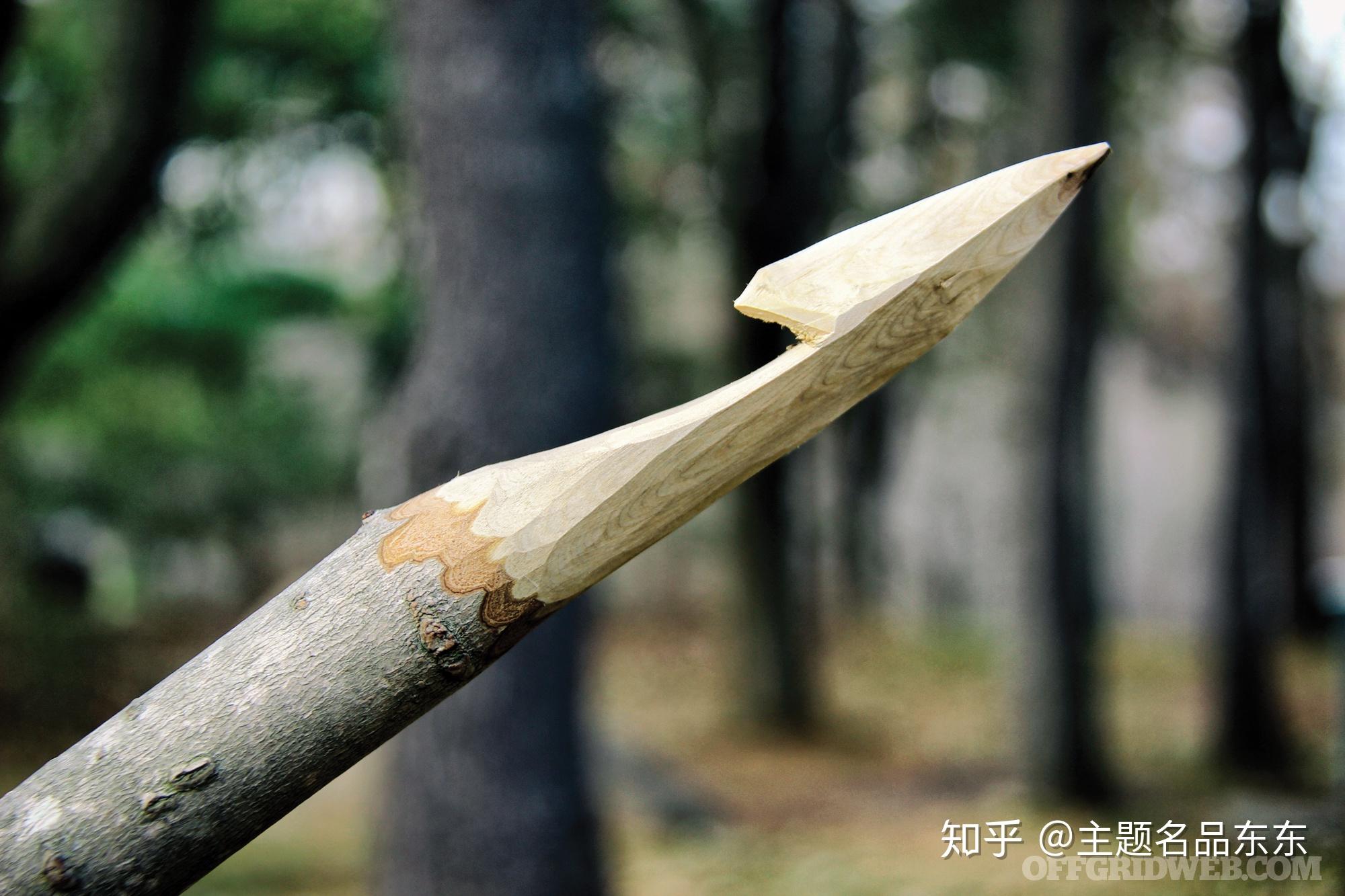 六种不同类型的长矛?手作长矛也可带来安全感! - 知乎