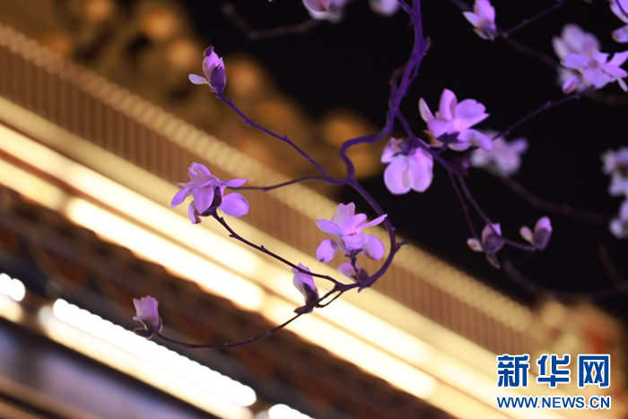 天水:玉兰花开香古巷 春意盎然迎客来 - 知乎