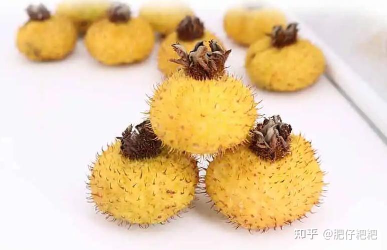 贵州特产刺梨干,纯天然无添加,酸甜滋味让人爱! - 知乎